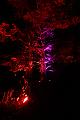 T-20140926-204852_IMG_7375-7