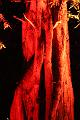 T-20140926-204908_IMG_7989-6