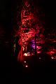 T-20140926-204929_IMG_7379-7