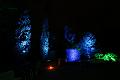 T-20140926-205214_IMG_7395-7