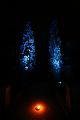 T-20140926-205252_IMG_7398-7