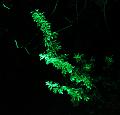 T-20140926-205730_IMG_8019-6a
