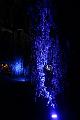 T-20140926-210919_IMG_7481-7