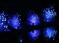 T-20140926-212720_IMG_8160-6a