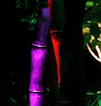 T-20140926-214510_IMG_8226-6a