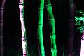 T-20140926-214514_IMG_8230-6
