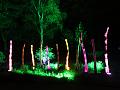 T-20140926-214623_IMG_7616-7a