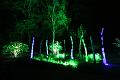 T-20140926-214629_IMG_7617-7
