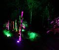 T-20140926-215432_IMG_7652-7a