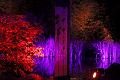 T-20140926-215710_IMG_8248-6a
