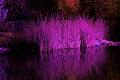 T-20140926-215836_IMG_8251-6a