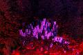 T-20140926-215854_IMG_8258-6a