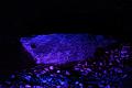 T-20140926-220546_IMG_8283-6