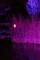 T-20140926-220630_IMG_8297-6
