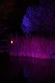 T-20140926-220634_IMG_8300-6
