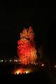 T-20140926-220746_IMG_7731-7