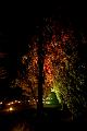 T-20140926-221225_IMG_7744-7a