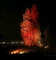 T-20140926-221317_IMG_7746-7aa