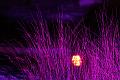 T-20140926-221540_IMG_8314-6