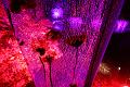 T-20140926-221851_IMG_7770-7