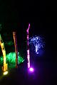 T-20140926-222851_IMG_7789-7