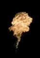 T-20140926-225026_IMG_7874-7a