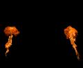 T-20140926-225026_IMG_7875-7a