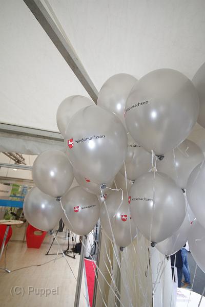 T-20141002-120749_IMG_9351-7.JPG