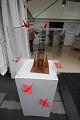 T-20141002-141500_IMG_9801-7