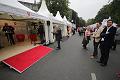 T-20141002-143349_IMG_9813-7