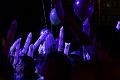 T-20141002-194953_IMG_1347-7