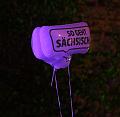 T-20141002-195001_IMG_1351-7a