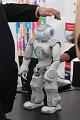 T-20141002-133936_IMG_9880-6
