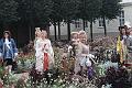T-20141002-165426_IMG_0484-6