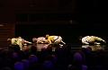 T-20141003-120253_IMG_4467-7a