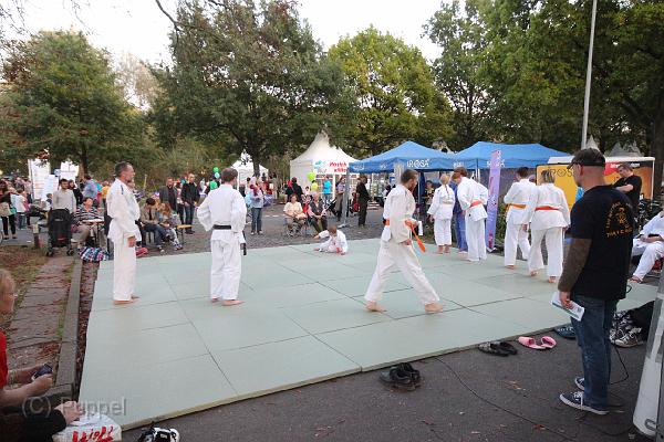 T-20141003-181458_IMG_4486-6.JPG