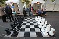 T-20141003-181650_IMG_4492-6