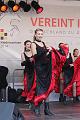 T-20141003-152044_IMG_5277-7