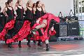 T-20141003-152119_IMG_5334-7