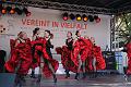 T-20141003-152336_IMG_3880-6