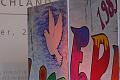 T-20141003-152628_IMG_5373-7