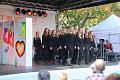 T-20141003-152654_IMG_3959-6