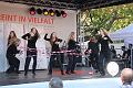 T-20141003-152806_IMG_4011-6