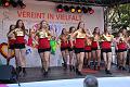 T-20141003-153032_IMG_4102-6