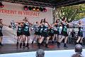 T-20141003-154108_IMG_4354-6