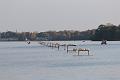 T-20141003-172915_IMG_5687-7