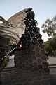 T-20141003-185110_IMG_4548-6