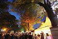 T-20141003-193548_IMG_4617-6