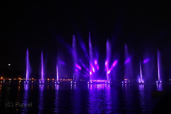 T-20141003-213804_IMG_6089-7.JPG