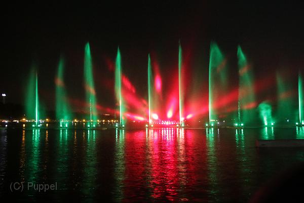 T-20141003-213832_IMG_6112-7.JPG